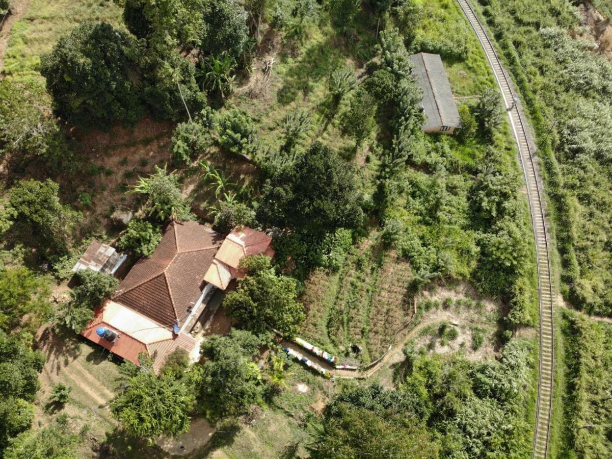 Orchid Villa Ела Екстериор снимка